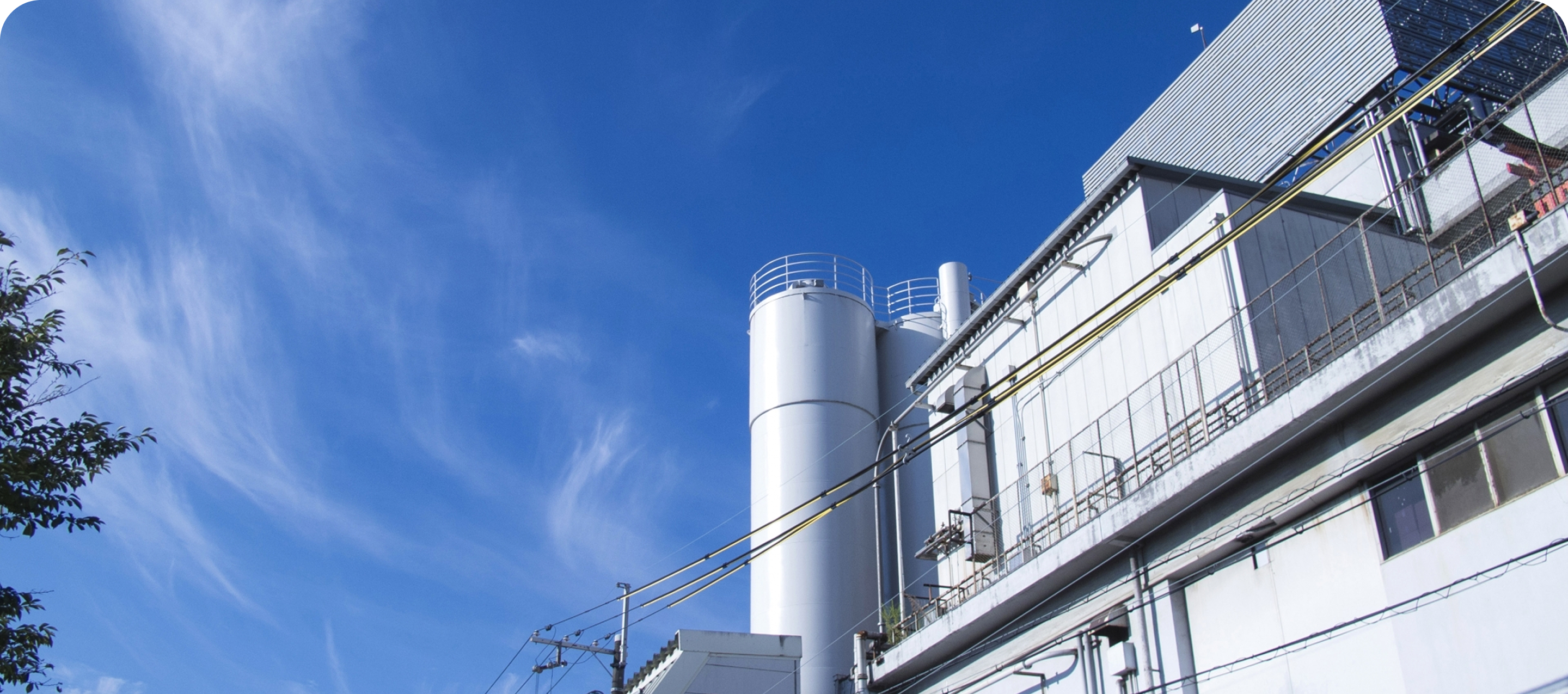 会社情報ページTOP画像